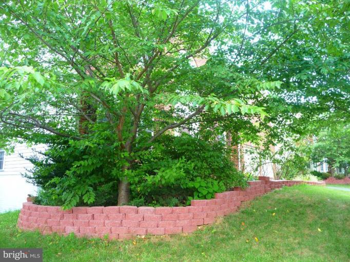 6089 Deer Ridge Trail Springfield, VA 22150 - Photo 3 of 30 a view of a backyard