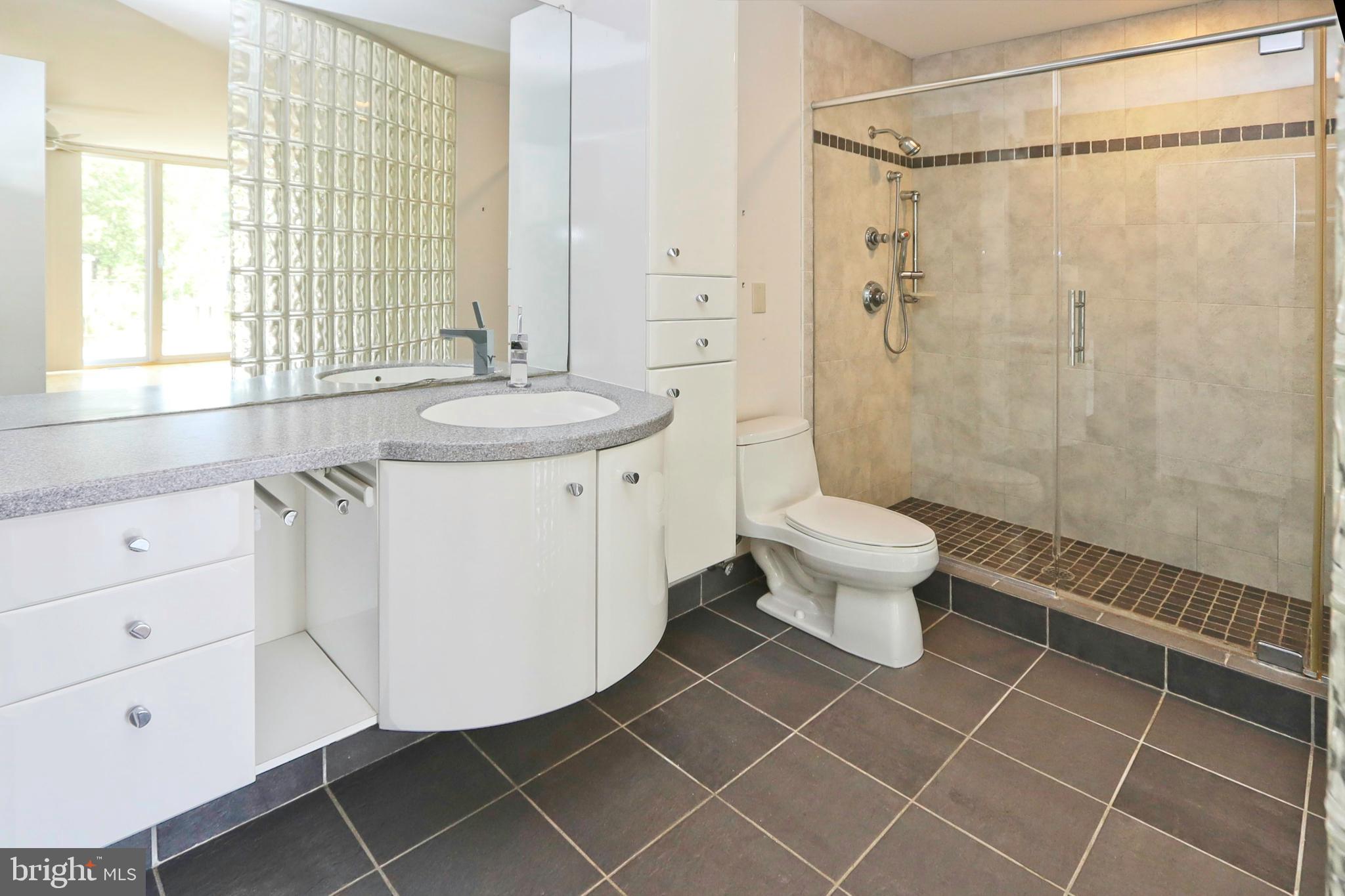 1682 Chimney House Road Reston, VA 20190 - Photo 29 of 56 Large frameless shower and custom cabinetry