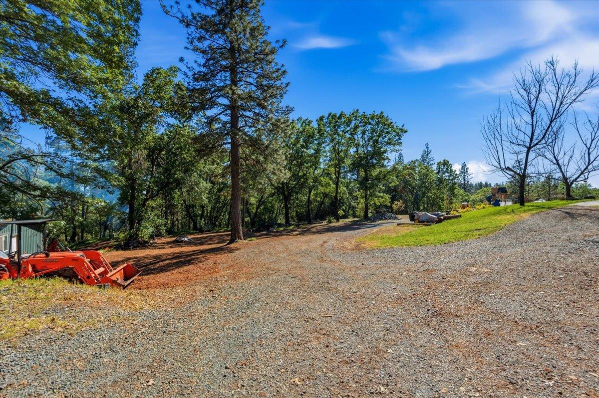 10784 Cole Way Grass Valley, CA 95945 - Photo 49 of 57 a view of backyard with tree and outdoor space