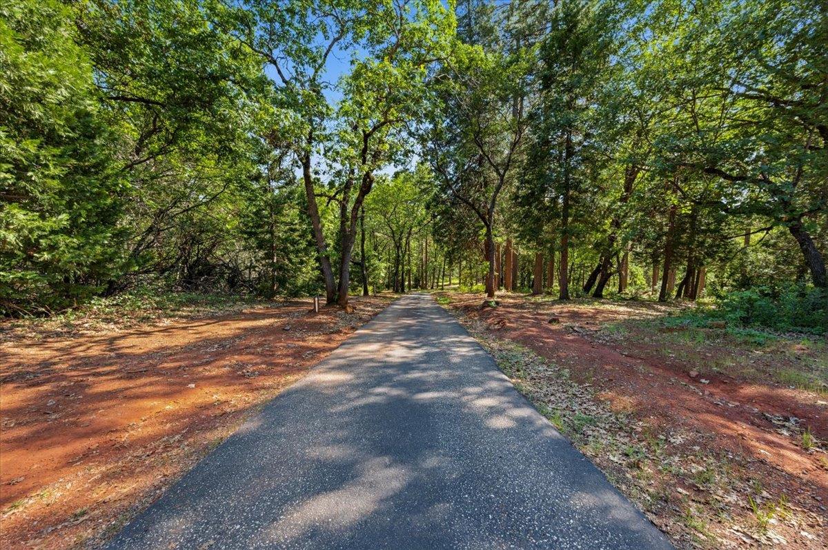 10784 Cole Way Grass Valley, CA 95945 - Photo 51 of 57 a view of outdoor space with trees