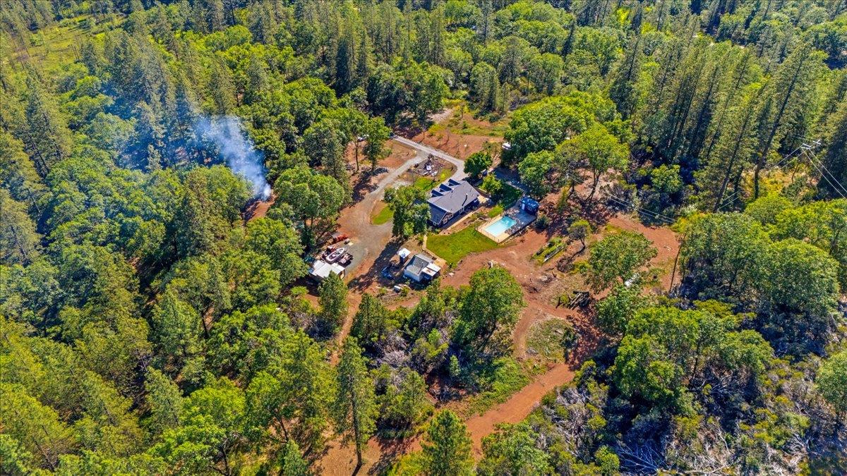 10784 Cole Way Grass Valley, CA 95945 - Photo 53 of 57 a picture of trees