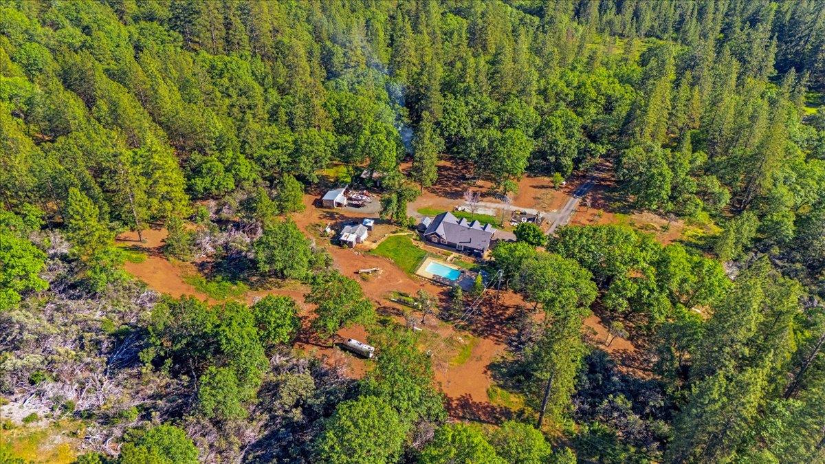 10784 Cole Way Grass Valley, CA 95945 - Photo 54 of 57 a backyard of a house with lots of green space and trees