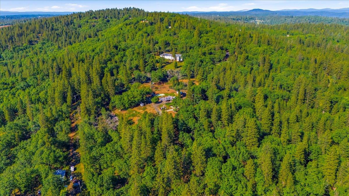 10784 Cole Way Grass Valley, CA 95945 - Photo 56 of 57 a view of a lush green forest with trees and houses