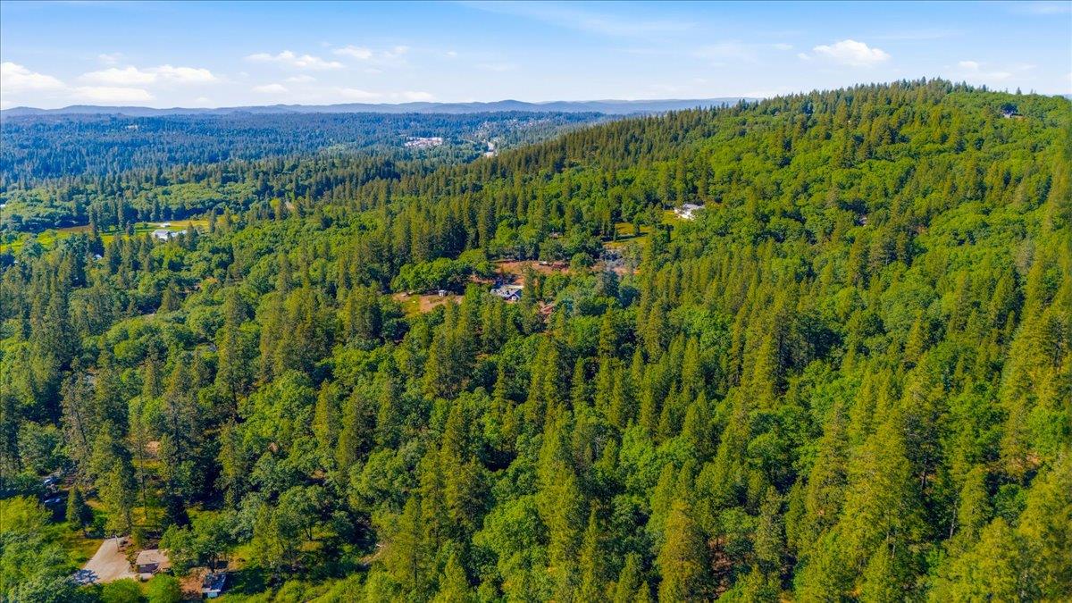 10784 Cole Way Grass Valley, CA 95945 - Photo 57 of 57 a view of a lush green space with a mountain in the background