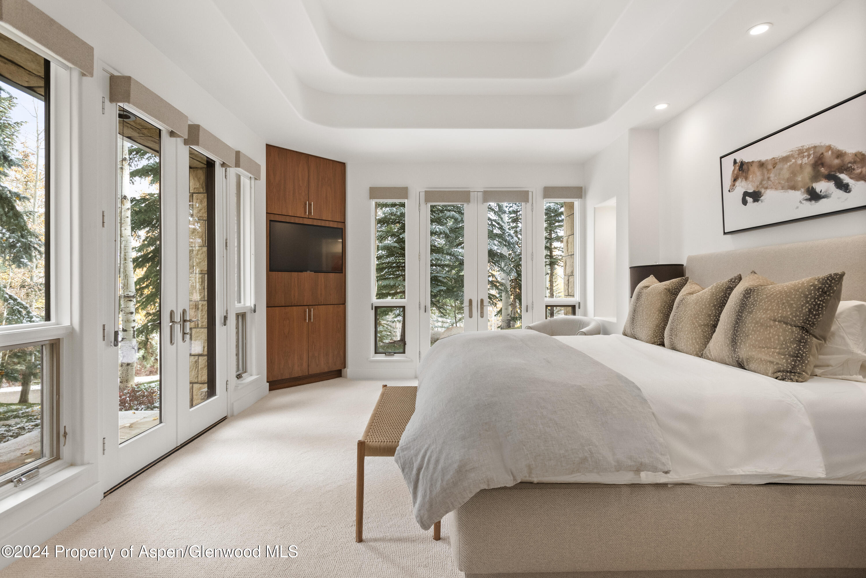 189 Aspen Way Snowmass Village, CO 81615 - Photo 34 of 44 a spacious bedroom with a bed and glass walk in closet