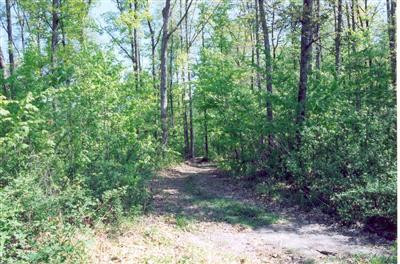9 Cave Springs Road McKee, KY 40447 - Photo 2 of 4 Photo 2