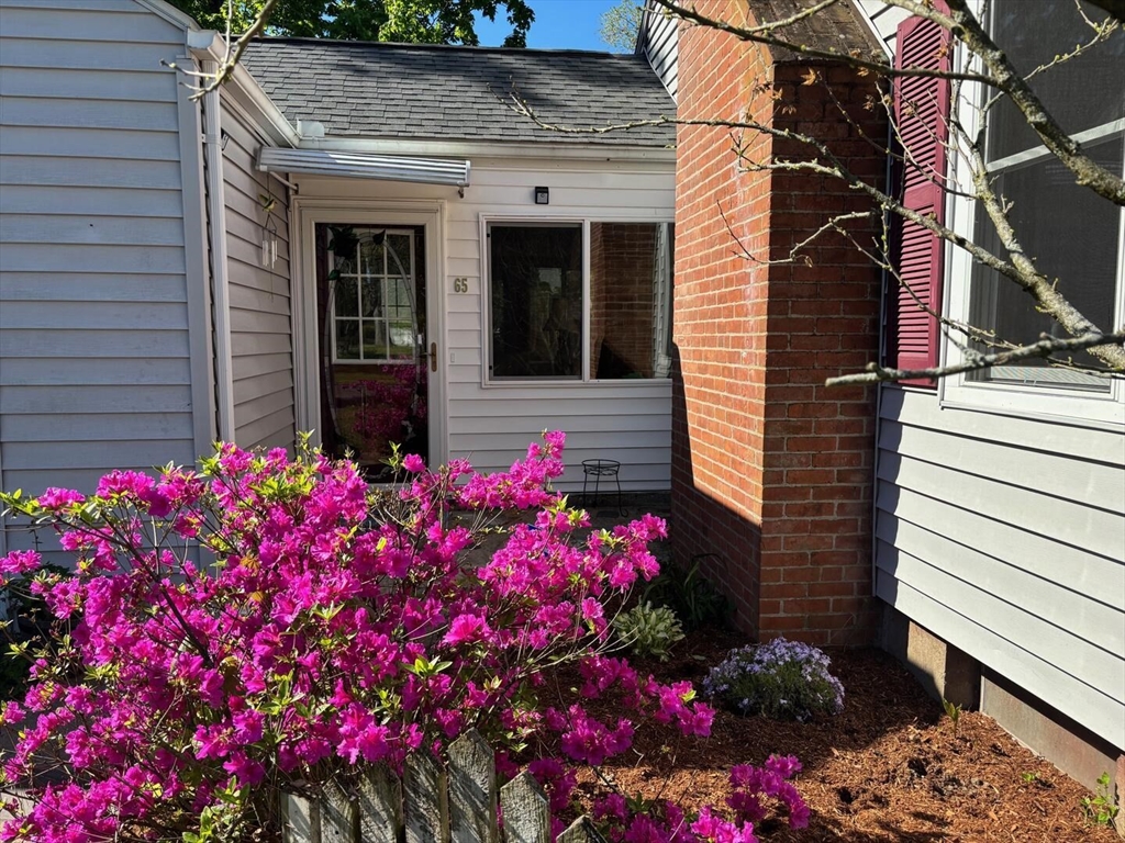 65 Brookside Circle Springfield, MA 01129 - Photo 5 of 25 a flower garden in front of a house