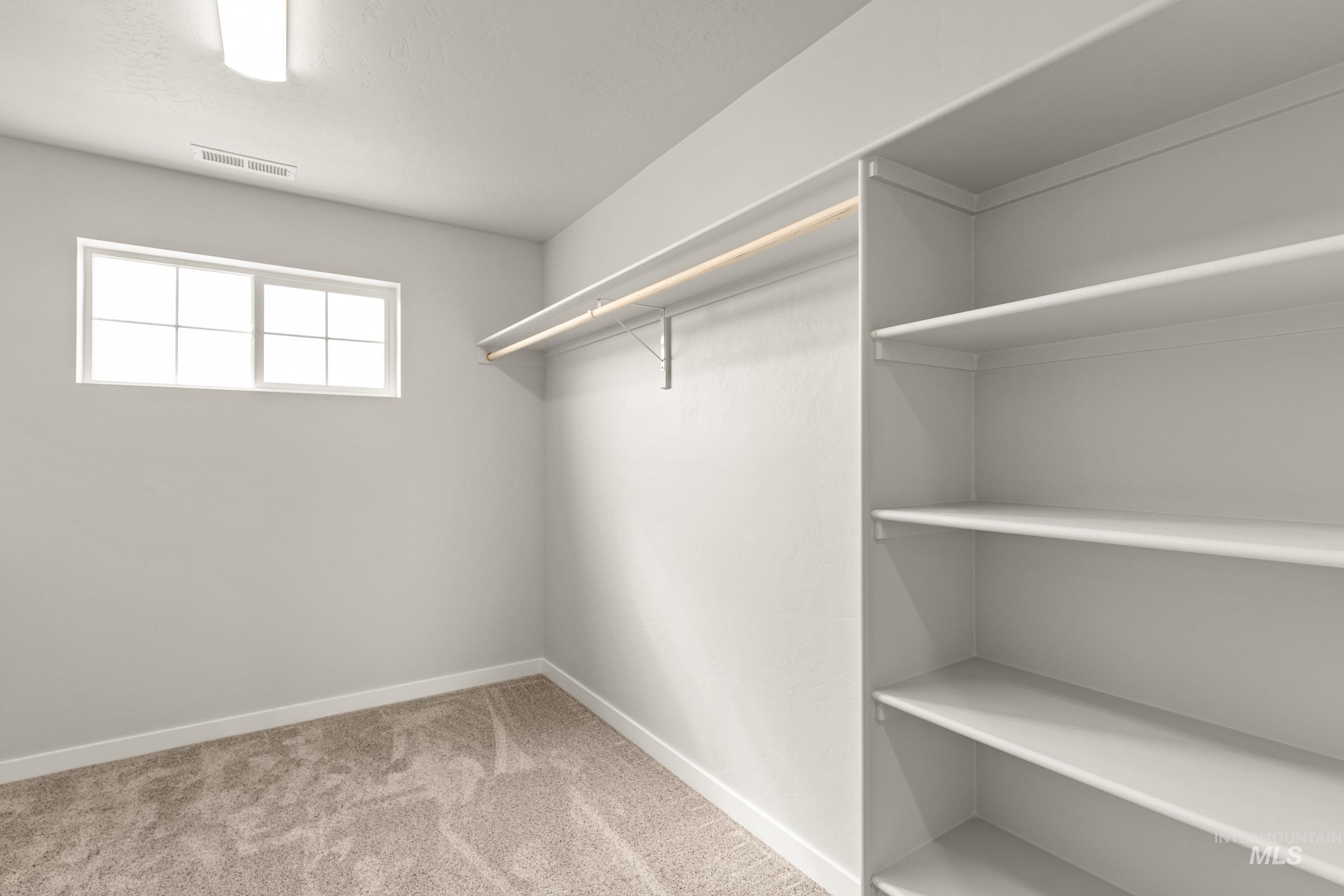 13704 Redway Court Caldwell, ID 83607 - Photo 18 of 23 Walk in closet featuring light carpet