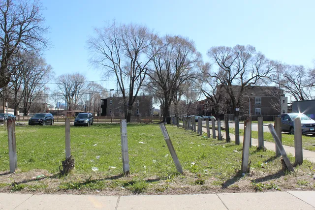 a view of a park with large trees