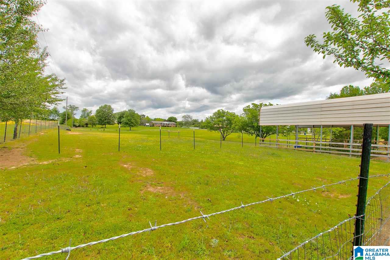 16991 Highway 160 Cleveland, AL 35049 - Photo 34 of 41