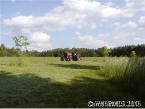 1405 Radar Road Rutherfordton, NC 28139 - Photo 3 of 6