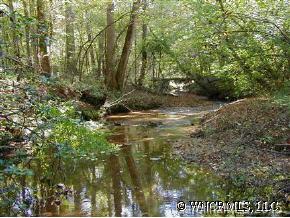 1405 Radar Road Rutherfordton, NC 28139 - Photo 6 of 6 a view of lake view