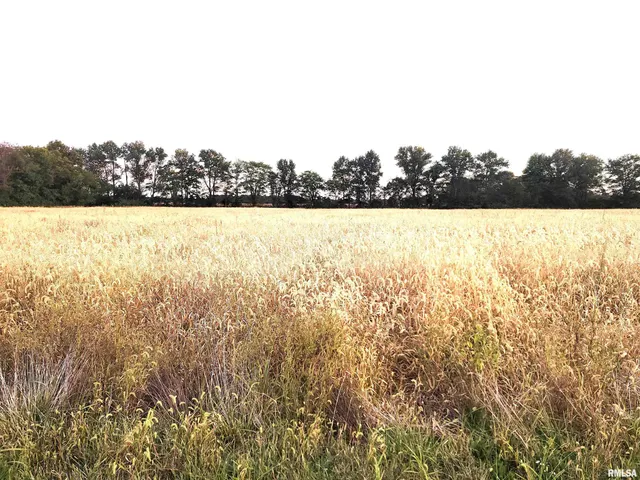 $47,000 | 1682 E Coon Creek Lane, Flora, IL 62839