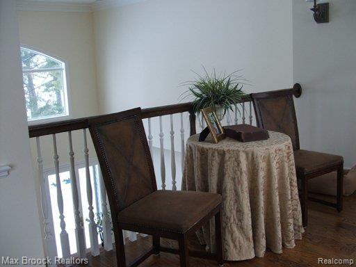 4470 Dow Ridge Road West Bloomfield, MI 48324 - Photo 11 of 17 web catwalk
