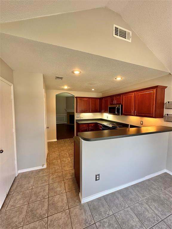 4905 Spur Ridge Court Fort Worth, TX 76244 - Photo 6 of 20