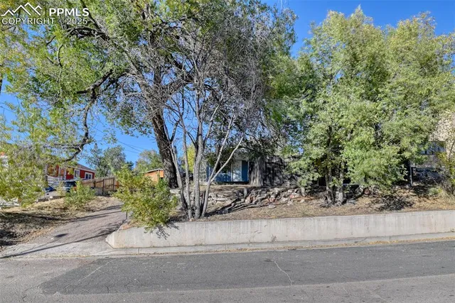 front view of a house with a tree