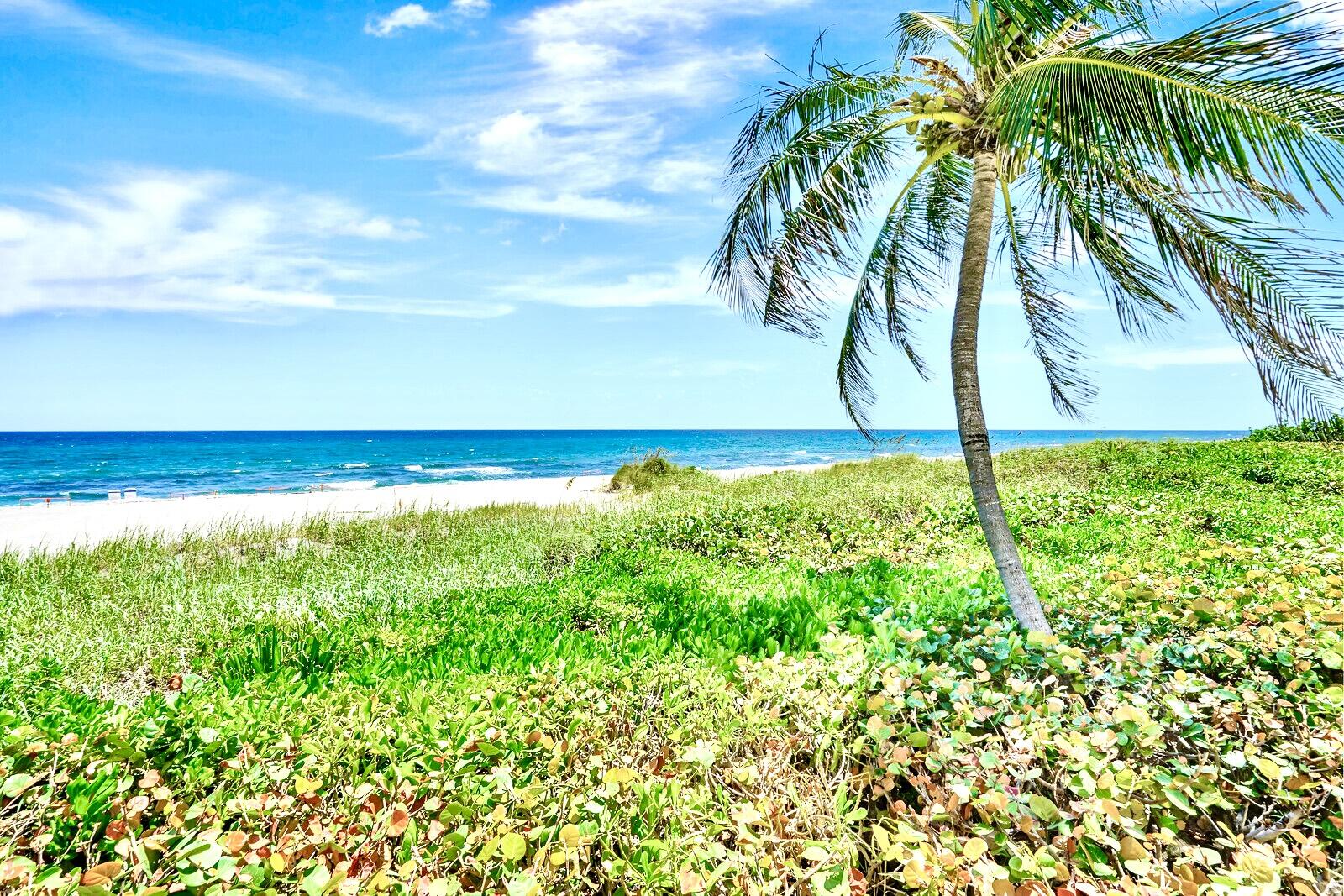 600 South Ocean Boulevard, Unit 1405 Boca Raton, FL 33432 - Photo 18 of 40 PRISTINE PRIVATE BEACHES