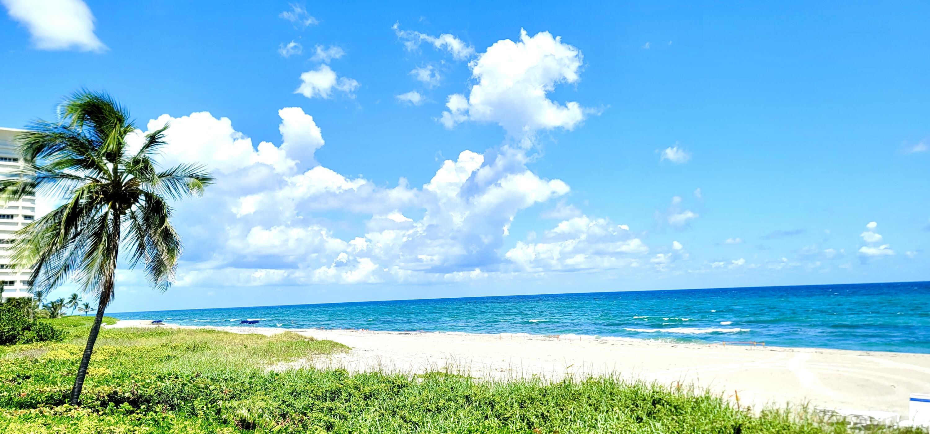 600 South Ocean Boulevard, Unit 1405 Boca Raton, FL 33432 - Photo 19 of 40 PRISTINE PRIVATE BEACHES
