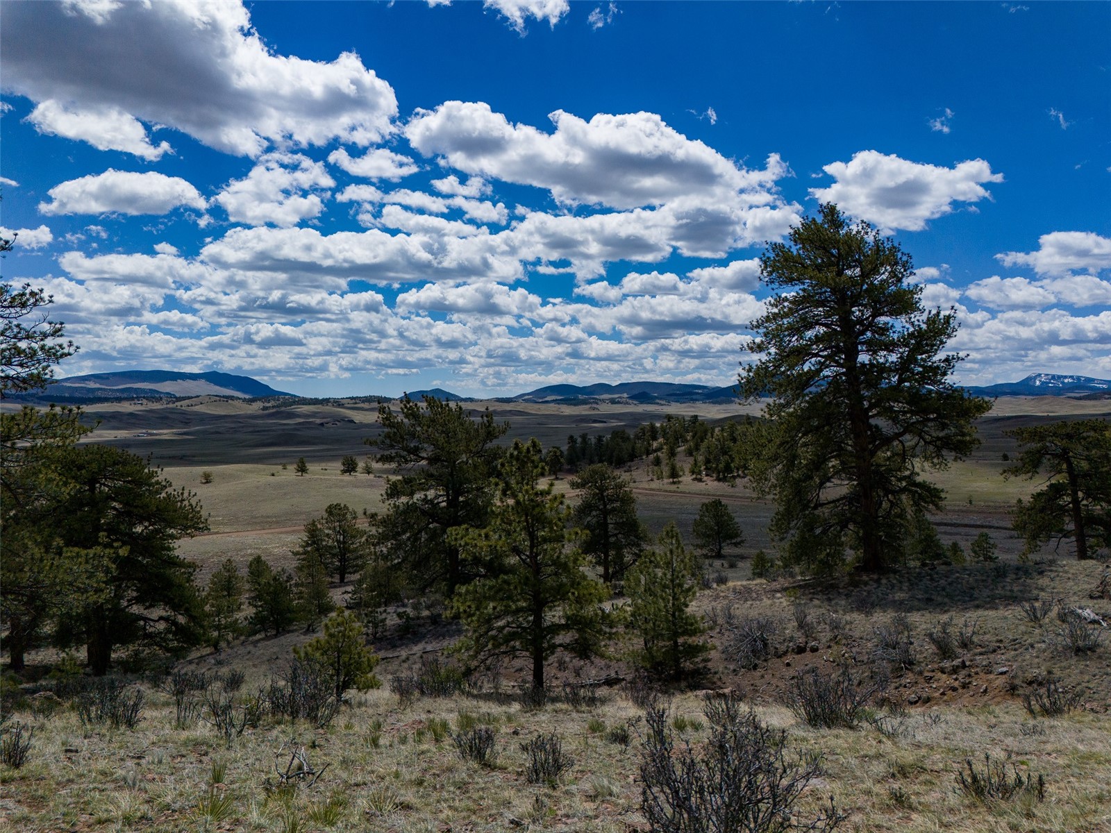 Tbd Tbd Black Beaver Rd/ Keechi Road Hartsel, CO 80449 - Photo 11 of 28 Gallery Image 11