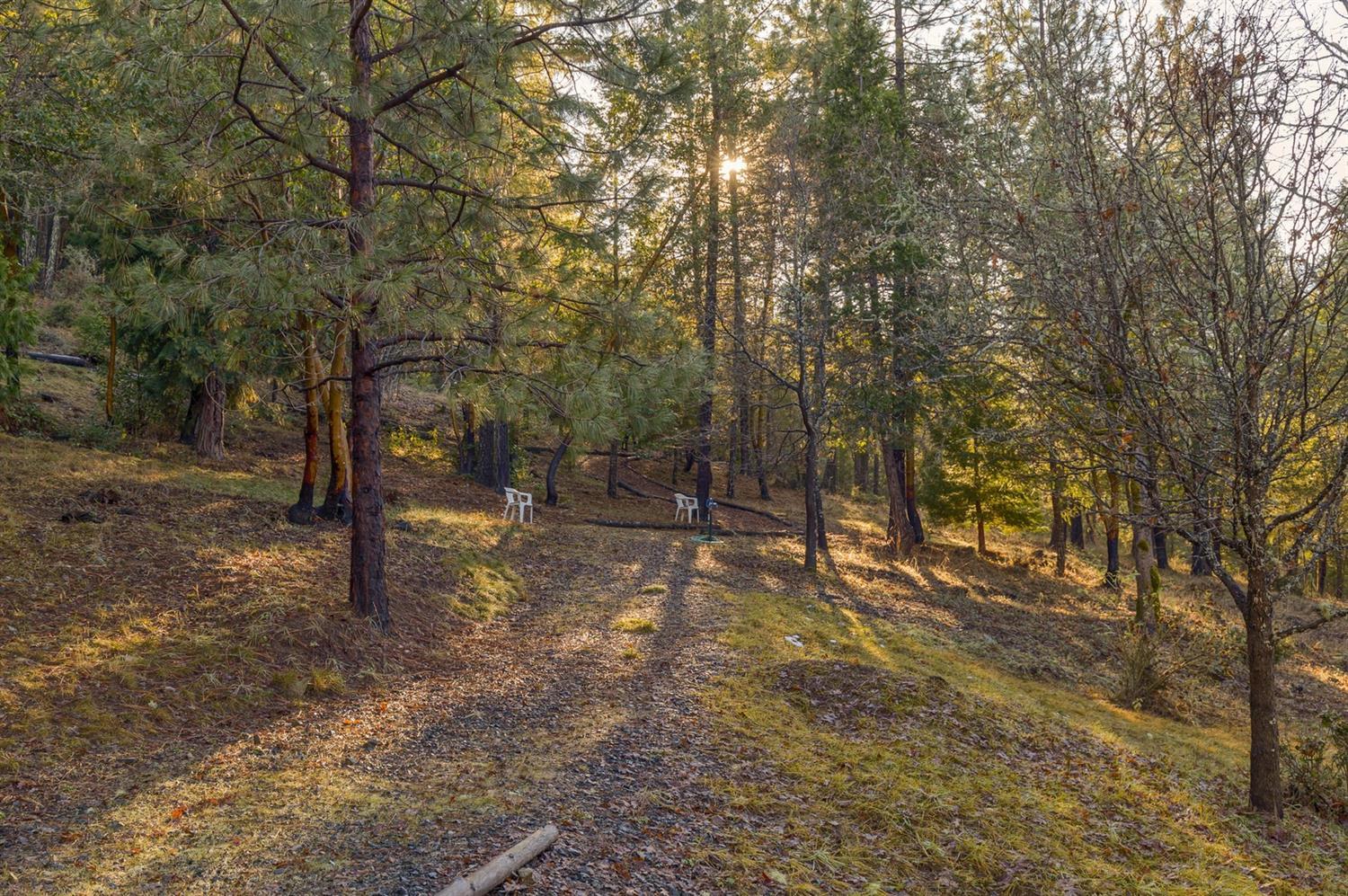 8129 Thompson Creek Road Jacksonville, OR 97530 - Photo 28 of 33 Additional Photo
