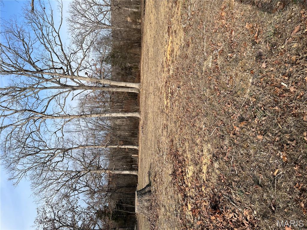 1675 Peacock Road St. Clair, MO 63077 - Photo 12 of 13