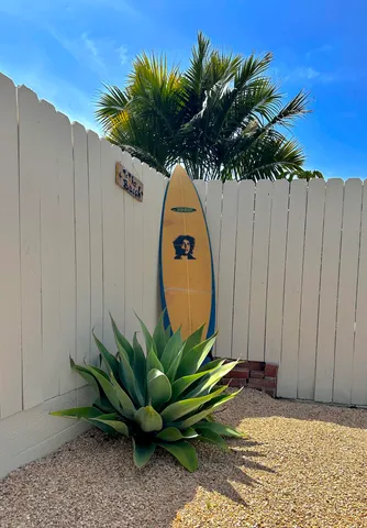 a view of a garden with a chair