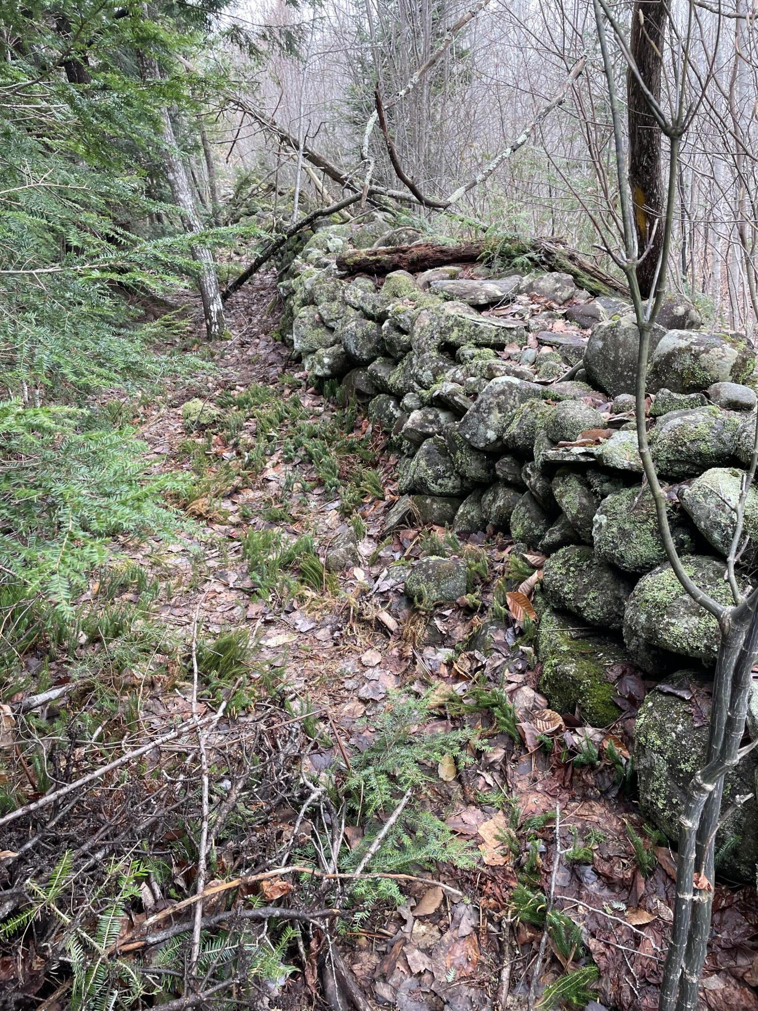 Tbd Shaw Hill Road Industry, ME 04938 - Photo 20 of 71 +kNMGg15RYOOXyXnTmjkCw