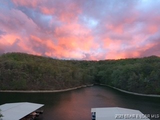 611 Lazy Days Road, Unit D12 Osage Beach, MO 65065 - Photo 28 of 28