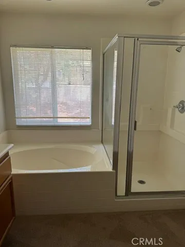 a bathroom with a bathtub and a shower