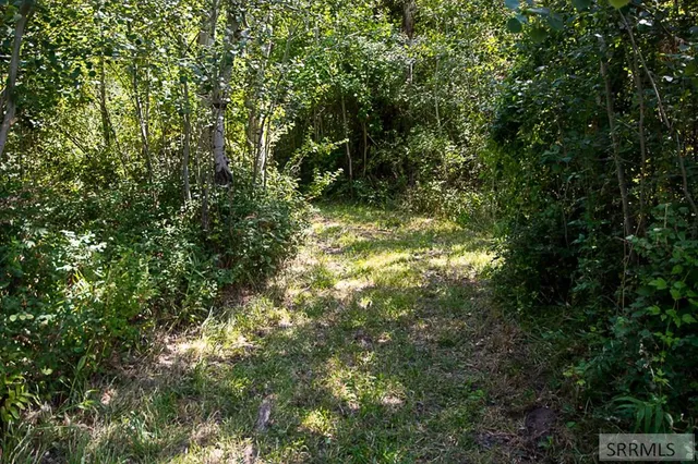 $1,075,000 | 28 Fife Lane, Salmon, ID 83467