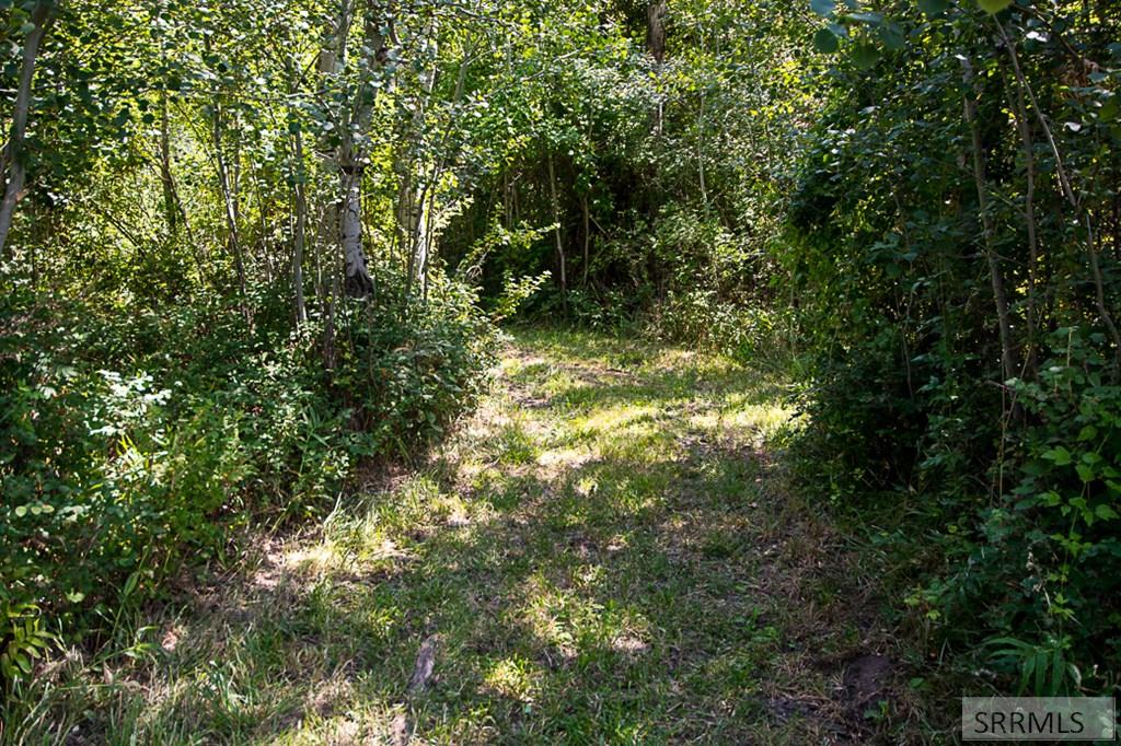 28 Fife Lane Salmon, ID 83467 - Photo 22 of 73