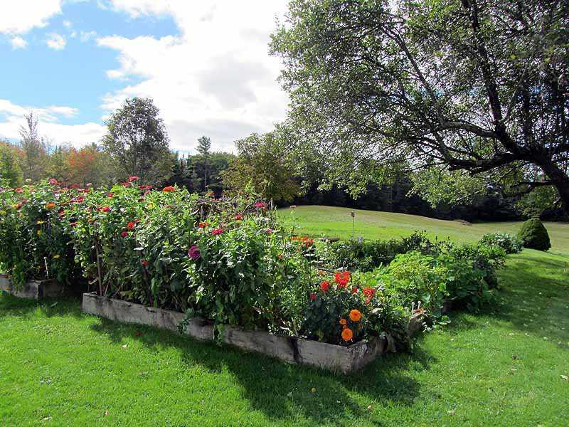 36 River Road Edgecomb, ME 04556 - Photo 10 of 33 Yard/Garden.