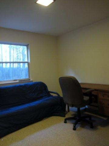 8086 River Road Evart, MI 49631 - Photo 14 of 26 Middle Bedroom