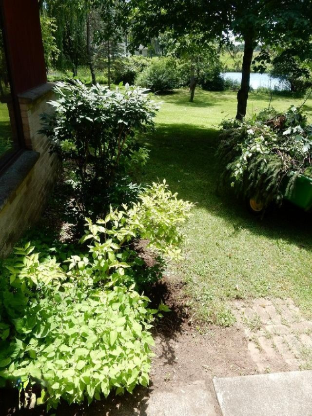 8086 River Road Evart, MI 49631 - Photo 21 of 26 DSCN0568