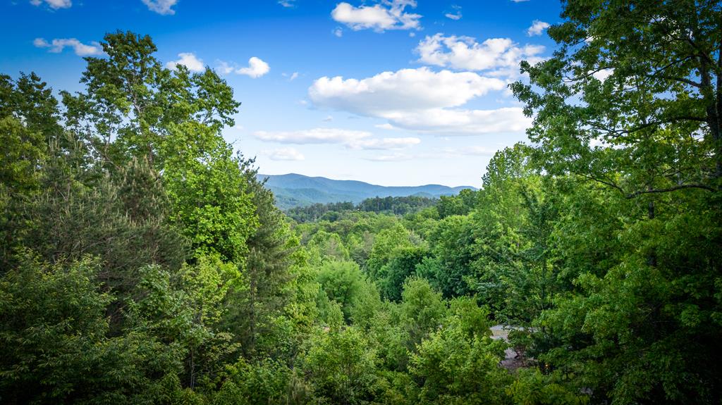 28 Hawkeye Ridge Blue Ridge, GA 30513 - Photo 52 of 104 Gallery Image 52