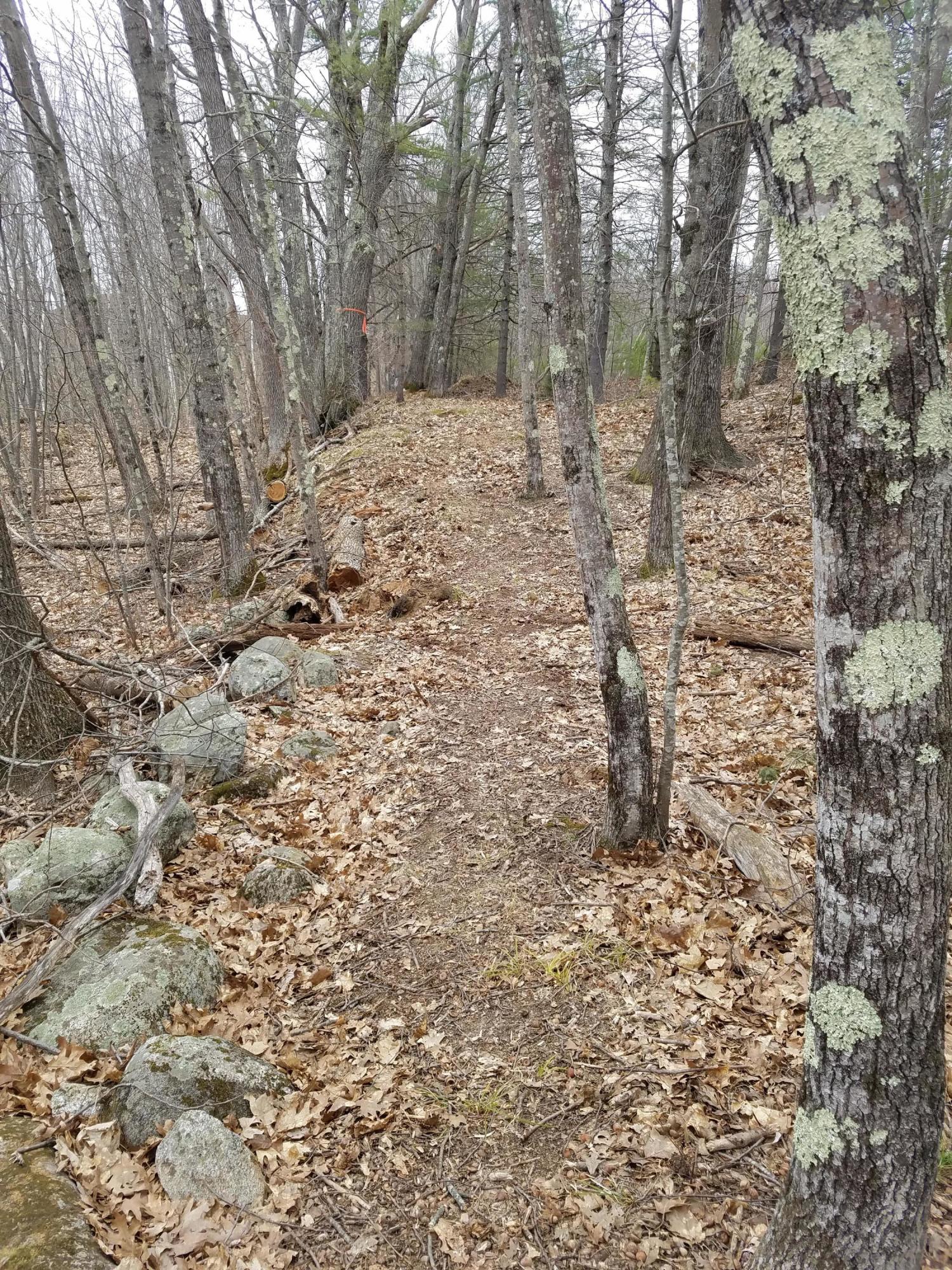 Lot 5 Young Road Lisbon, ME 04250 - Photo 13 of 16 Easement/Path to river