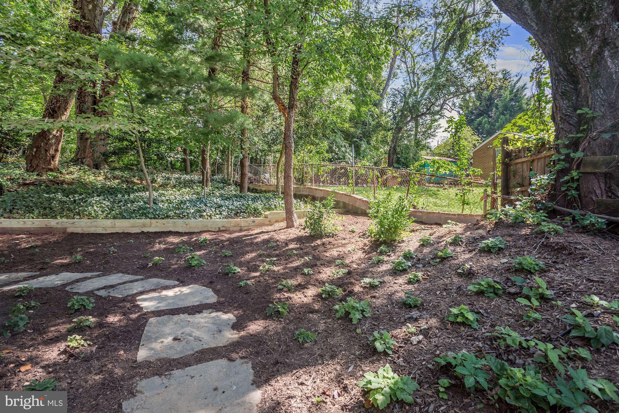 12105 Judson Road Silver Spring, MD 20902 - Photo 28 of 31 Rear Yard