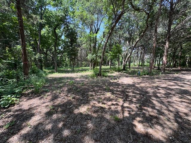 3 Robin Road Cedar Hill, TX 75104 - Photo 2 of 9 a view of outdoor space with trees