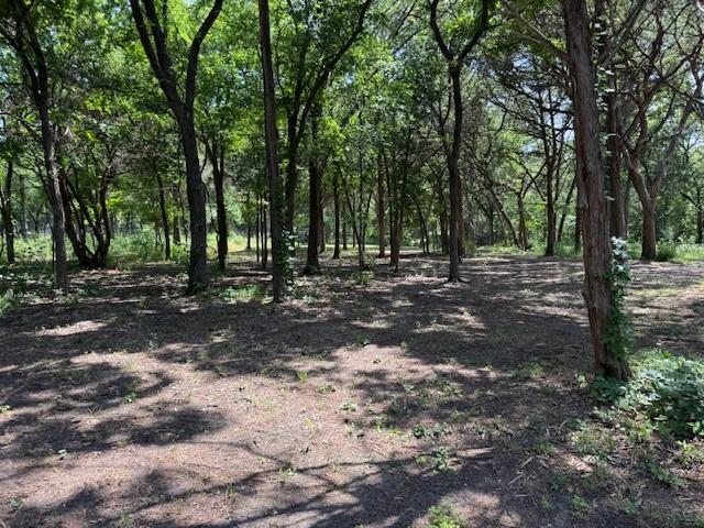 3 Robin Road Cedar Hill, TX 75104 - Photo 3 of 9 a view of outdoor space with trees