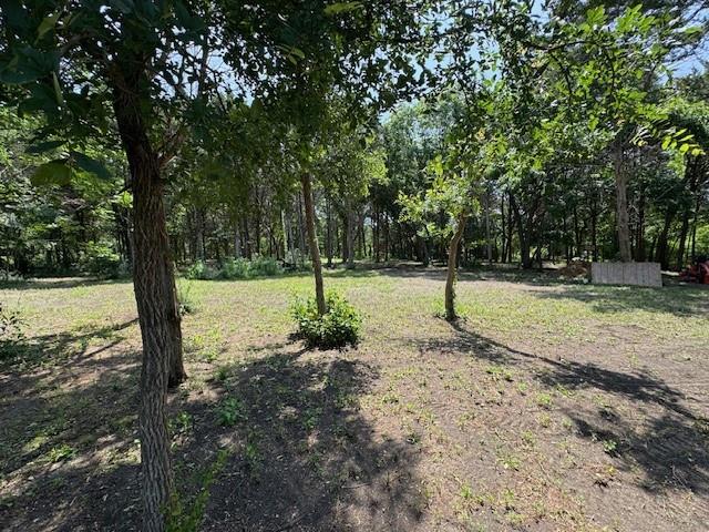 3 Robin Road Cedar Hill, TX 75104 - Photo 4 of 9 a view of a tree in a park