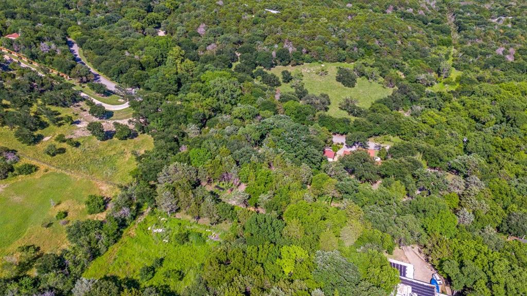 3 Robin Road Cedar Hill, TX 75104 - Photo 8 of 9 a view of a yard with plants
