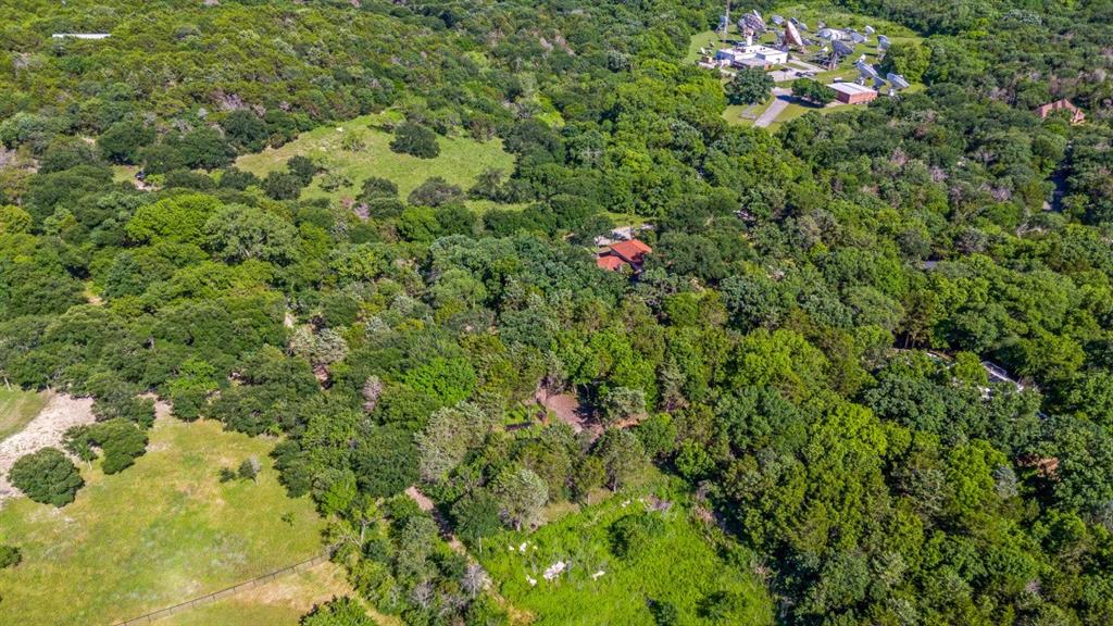3 Robin Road Cedar Hill, TX 75104 - Photo 9 of 9 a view of a plant in a yard