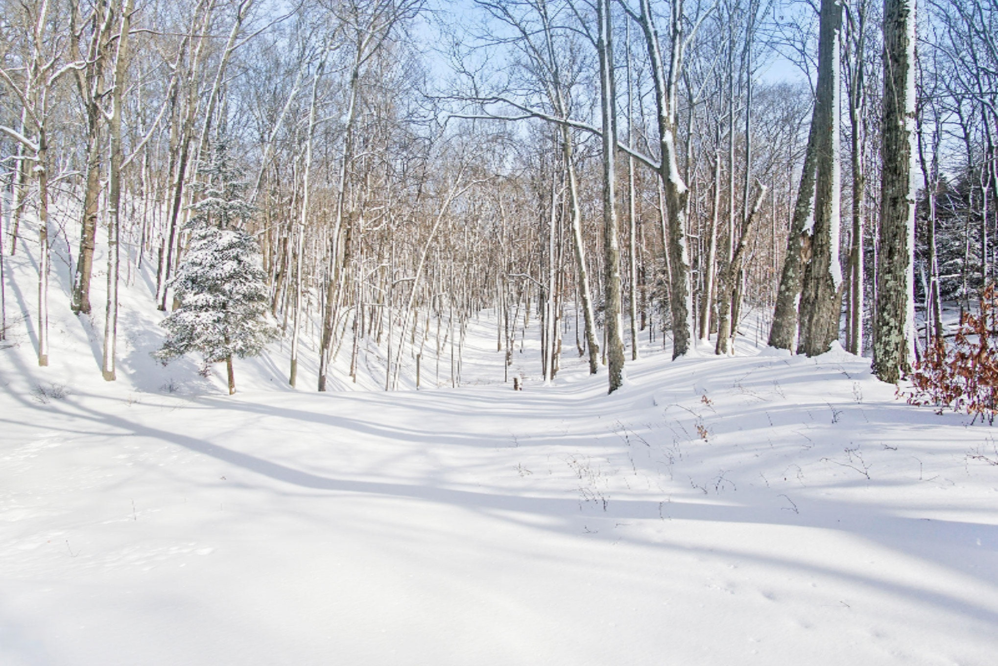 18470 North Shore Estates Road Spring Lake, MI 49456 - Photo 10 of 53 DSC07754