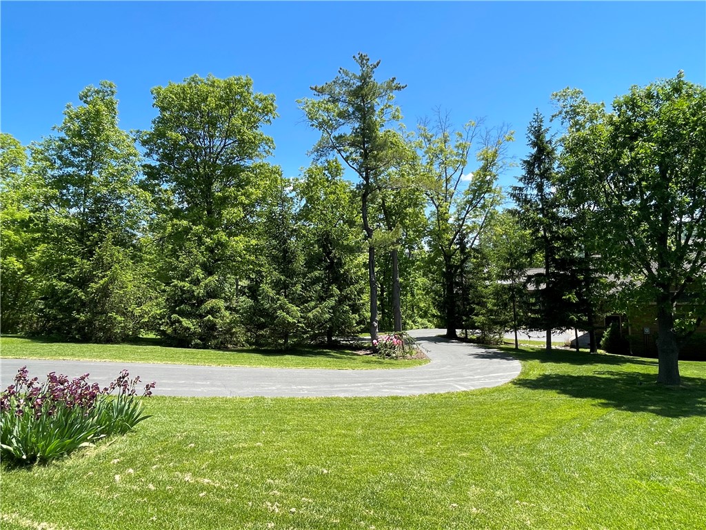 5491 Seneca Point Road South Bristol, NY 14424 - Photo 47 of 50