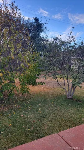 a view of a yard with an tree