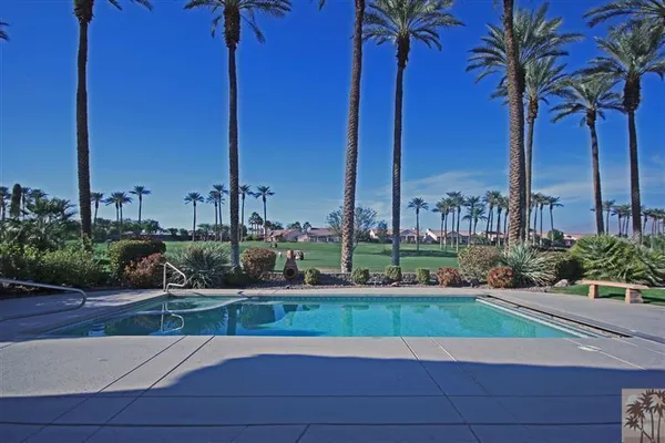 a view of a yard with palm tree