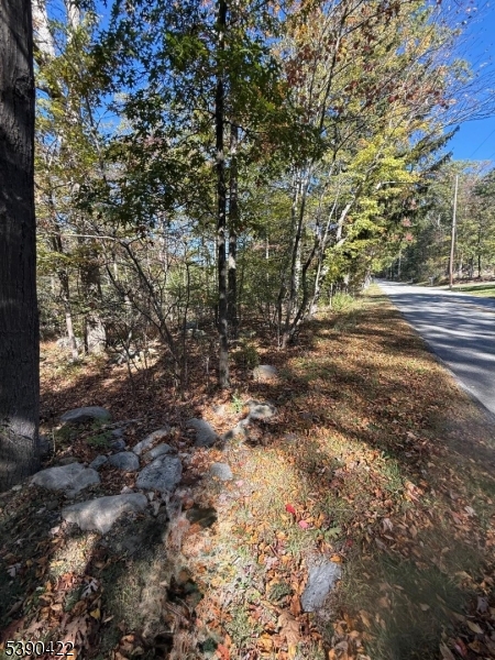 42 Gaisler Road Blairstown, NJ 07825 - Photo 5 of 8 a view of a yard with a tree