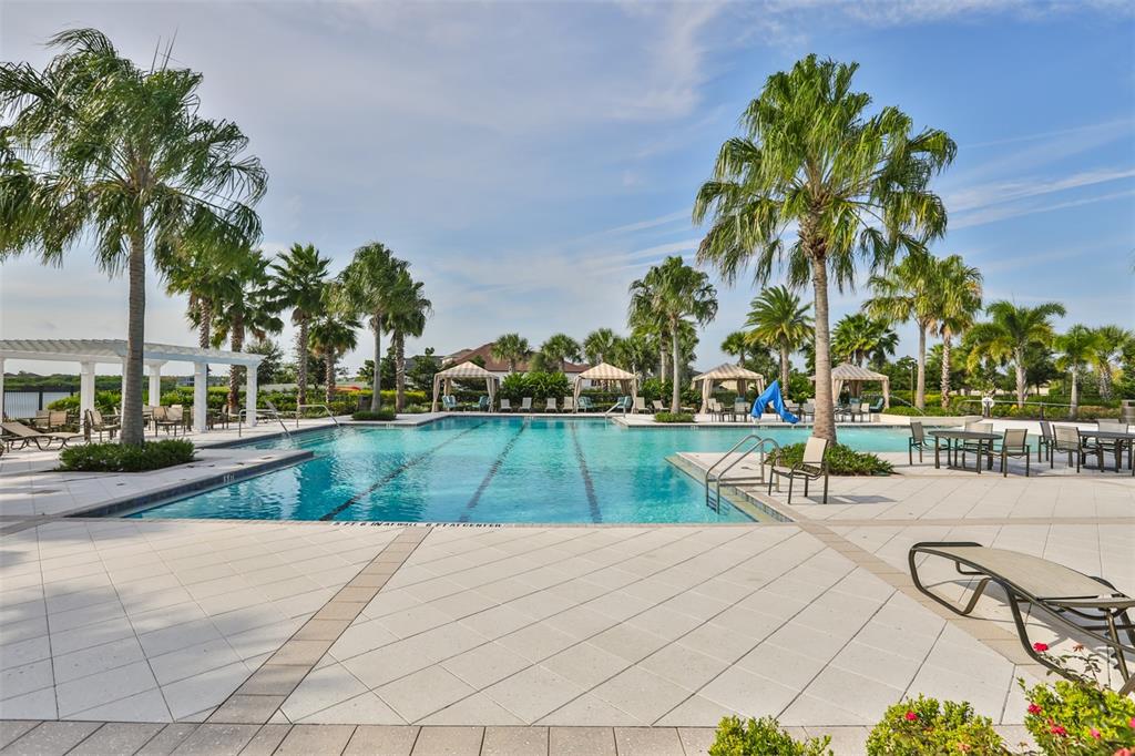 11156 Spring Point Circle Riverview, FL 33579 - Photo 51 of 53 Gallery Image 51