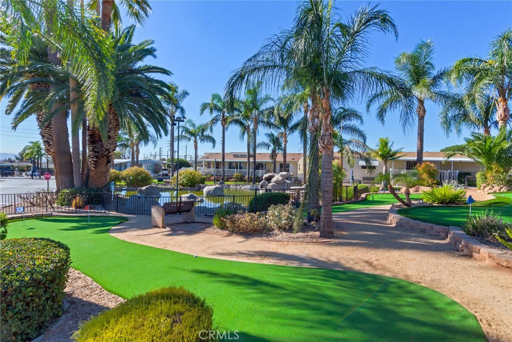 10210 Base Line Road, Unit 115 Rancho Cucamonga, CA 91701 - Photo 23 of 23 a row of palm trees in front of house