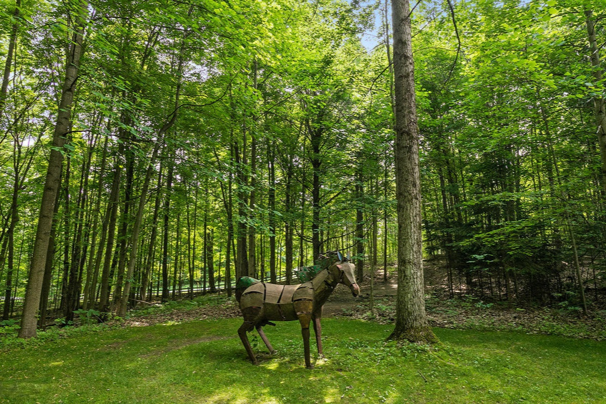 9530 Ravine Ridge Drive Southeast Caledonia, MI 49316 - Photo 50 of 66 Horse Property